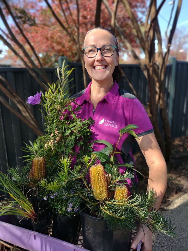 Amelia landscape designer